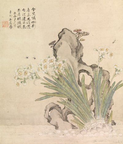Narciso, roccia, api e Linghzhi da Ju Lian